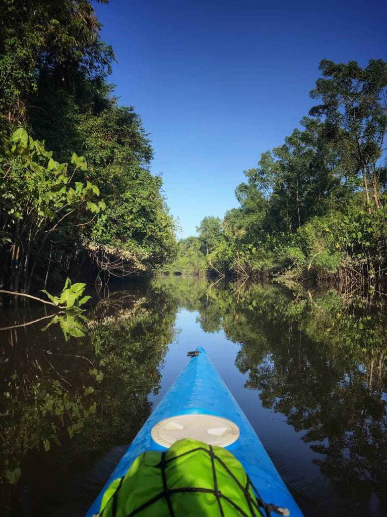 Canoagem no rio Massarapó, Barcarena-PA, Brasil. Fonte Própria: (Rafael Meneses)