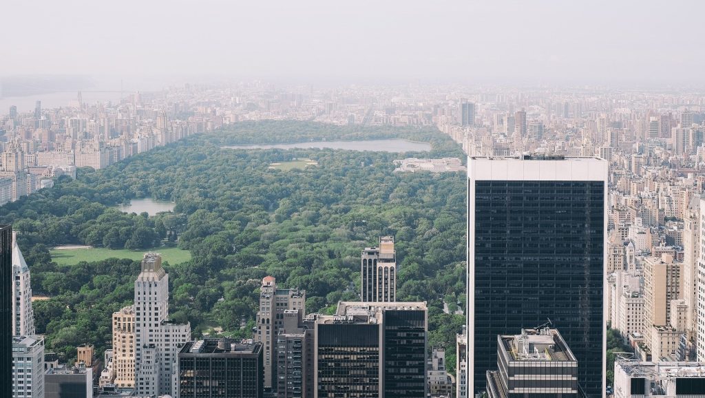 Central Park. Source: Pixabay