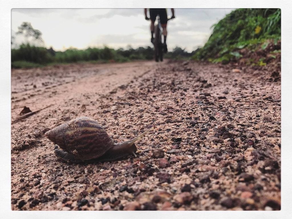 Cycling routes in Barcarena-PA, Brazil. Own Source: (Rafael Meneses)