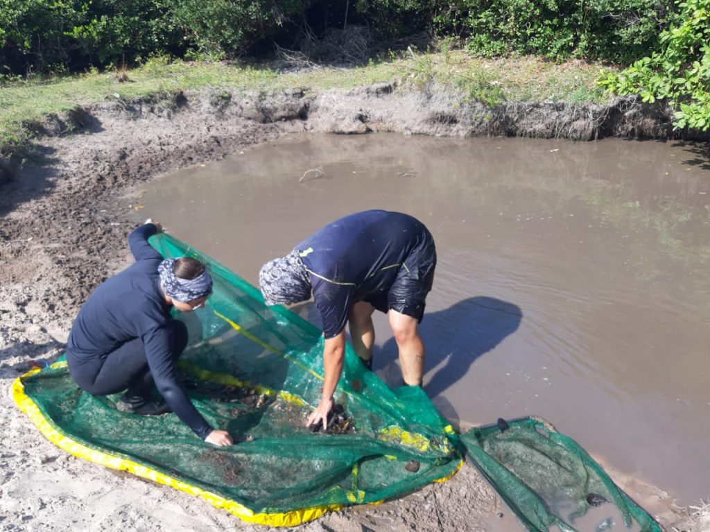 Inventário de peixes de pequeno porte em Santarém - PA, Brasil. Fonte própria: Pamella Brito